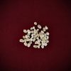 Dried Botanicals Pussy Willow Catkins  - Thumbnail Image 2