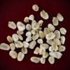 A package of 50 loose dried pussy willow catkins by Gypsy Red Corpse for Ostara altar decorations