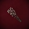 Dried Botanicals Pussy Willow - Thumbnail Image 2
