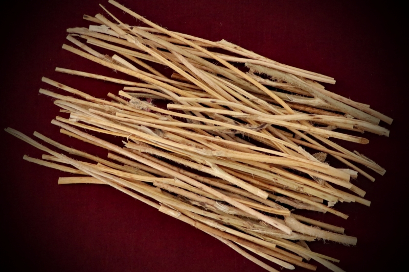 Dried Botanicals Bare Poppy Stems - Image 3