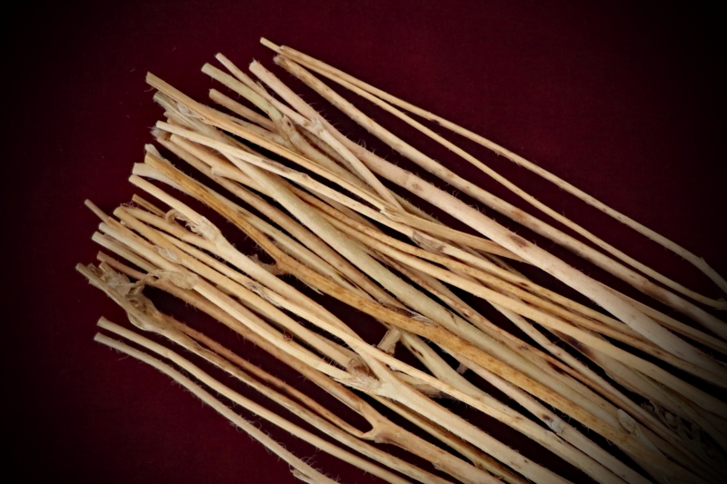 Shop premium Dried Botanicals Bare Poppy Stems curated by Gypsy Red Corpse. Available in 25 or 50-stem packs for linear magic applications. Buy today!