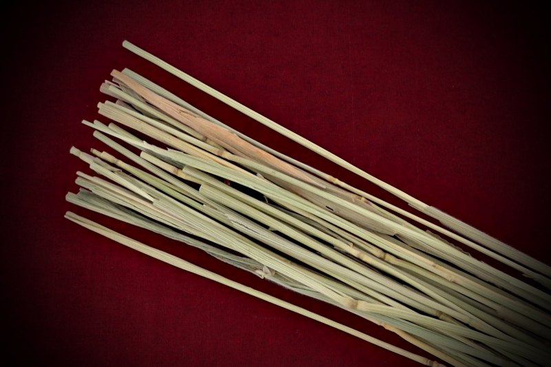 Channel intentions with Dried Rabbit’s Tail Bare Stems. Ideal for boundary setting, protective grids, ancestral bridges, and astral travel. Shop now!