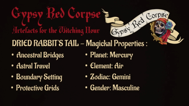 Channel intentions with Dried Rabbit’s Tail Bare Stems. Ideal for boundary setting, protective grids, ancestral bridges, and astral travel. Shop now!