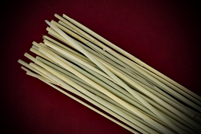 Dried Botanicals Wheatgrass Bare Stems—20 to 23cm lengths—displayed on a rich blood-red background by Gypsy Red Corpse.