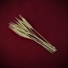 A package of nine Dried Botanicals Wheatgrass grain heads on stems curated by Gypsy Red Corpse, measuring 25 to 27cm and sealed in a clear cellophane bag.