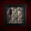 Handmade black Wiccan shadow box frame containing a sepia skulls and roses backdrop with a machine-sewn pentagram and traditional occult curiosities.