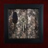 Close-up of traditional oddities including an authentic raven feather, stainless steel snake, and vintage marcasite watch link in an occult display frame.