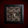 Repurposed black shadow box frame featuring an authentic rat skull, butterfly skull-key, and a "BELIEVE" plaque on a witch's boots backdrop.