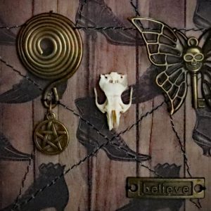 Detailed shot of a spiral pentacle charm and a golden butterfly with a skull-key body in a traditional gothic shadow box.