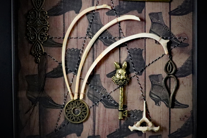 Detailed shot of three hare rib bones arching over an ornate hare-headed key with an authentic hare vertebra in an occult curio frame.
