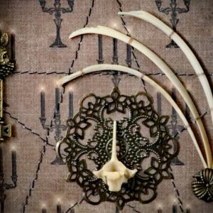 Detailed shot of three hare rib bones arching over a filigree disc with an authentic hare vertebra centrepiece inside a pagan curio frame.