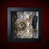Handmade black shadow box containing a vintage Odin and crescent moon charm, a shed snake skin remnant, three bone vertebrae, and a raven feather on a sepia moon backdrop.