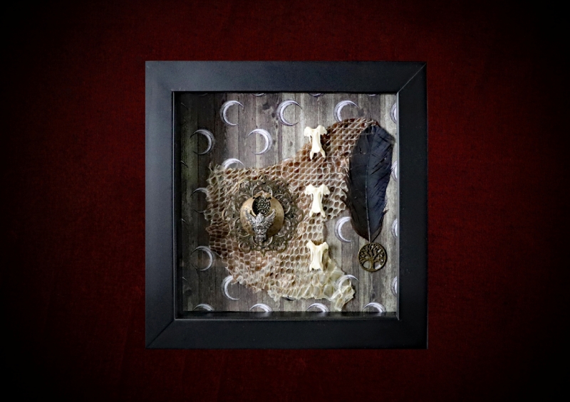 Handmade black shadow box containing a vintage Odin and crescent moon charm, a shed snake skin remnant, three bone vertebrae, and a raven feather on a sepia moon backdrop.
