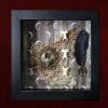 Close-up detail of a Wiccan shadow box showing the intricate textures of a real snake skin piece, bone vertebrae, and a vintage metal Odin charm hand-sewn onto craft paper.