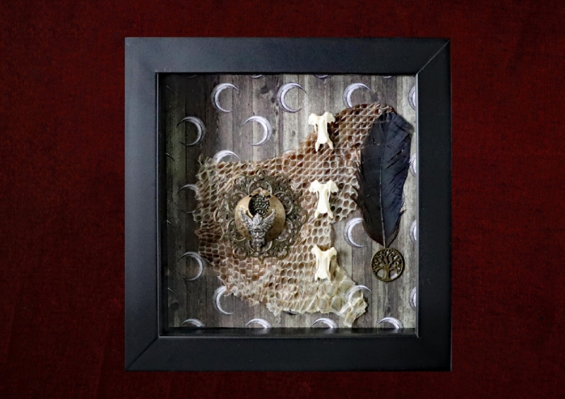 Close-up detail of a Wiccan shadow box showing the intricate textures of a real snake skin piece, bone vertebrae, and a vintage metal Odin charm hand-sewn onto craft paper.