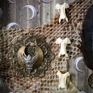 Macro photograph showing the fine textures of a shed snake skin remnant, a black raven feather, and the aged patina of a vintage Odin charm.