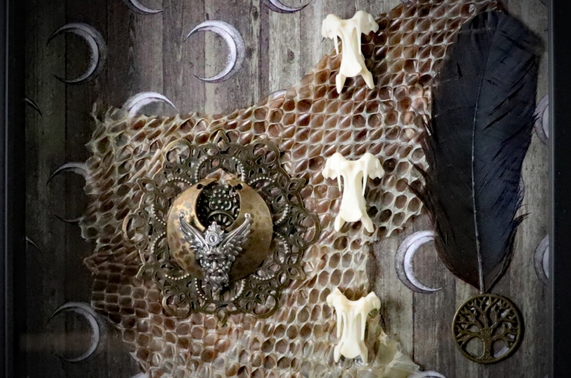 Macro photograph showing the fine textures of a shed snake skin remnant, a black raven feather, and the aged patina of a vintage Odin charm.