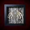 Repurposed black shadow box frame featuring a diamond-shaped vintage diamante charm with memento mori drops, flanked by six authentic hare bones on a sepia pentagram backdrop.