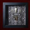 Close-up shot focusing on the top of the display, highlighting the delicate genuine rat skull and matching bone elements flanked by two identical metal filigree buttons over a machine-sewn pentagram.
